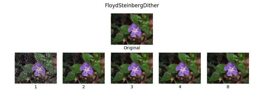 A flower photo with Floyd-Steinberg dithering at several bit depths