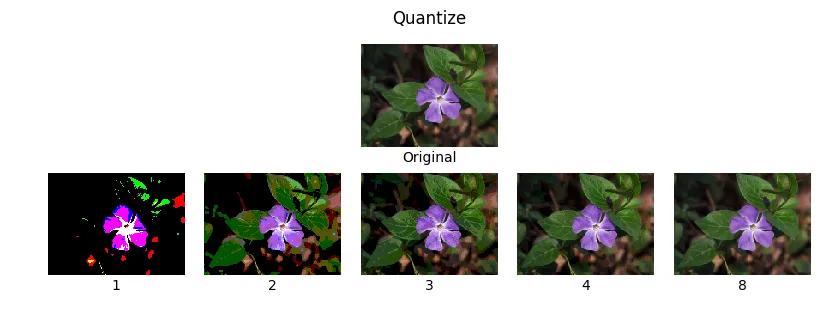 A flower photo quantized to 1, 2, 3, 4 and 8 bits per channel