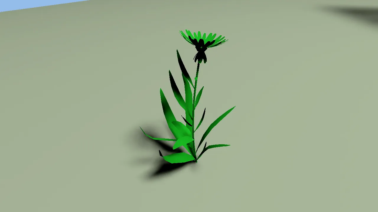 A flower casting a soft shadow onto a plane