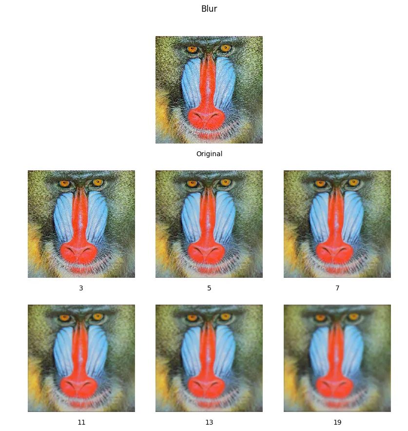 The mandrill test image blurred with increasing kernel sizes