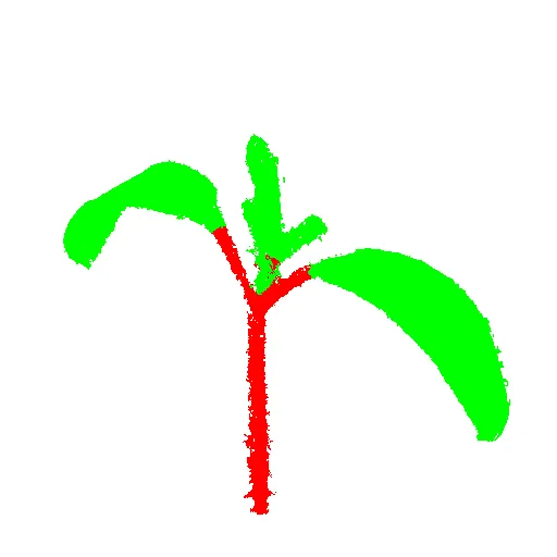 A ShapePFCN segmentation of a plant with the stem in red and leaves in green