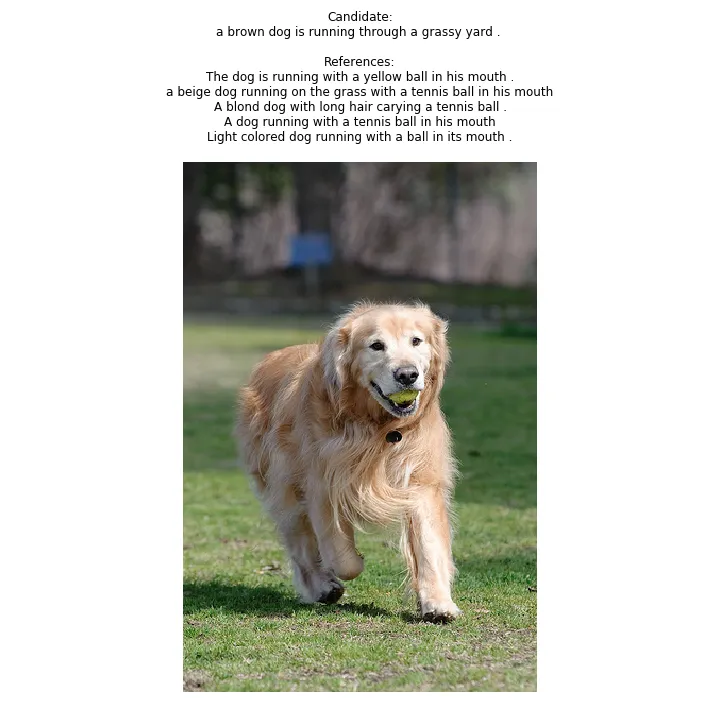 A golden retriever running on grass with the generated caption and references